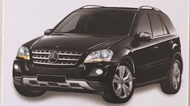 Green Energy Limousines